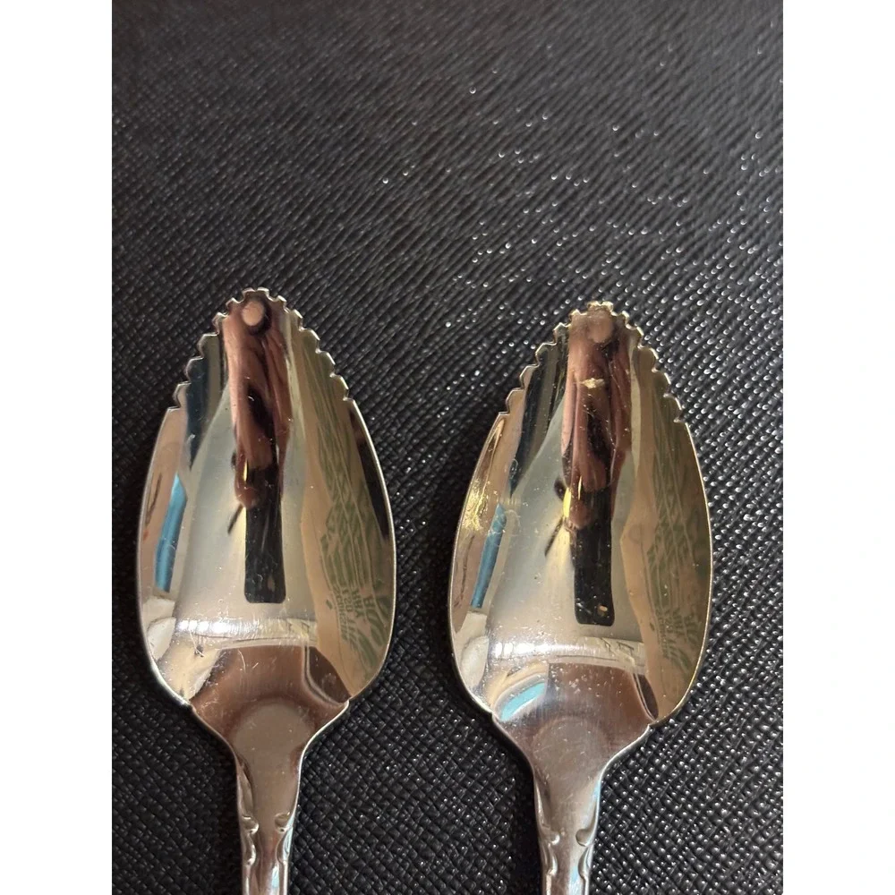 Oneida Community Stainless Morning Rose Grapefruit Spoons Serrated Set of 2